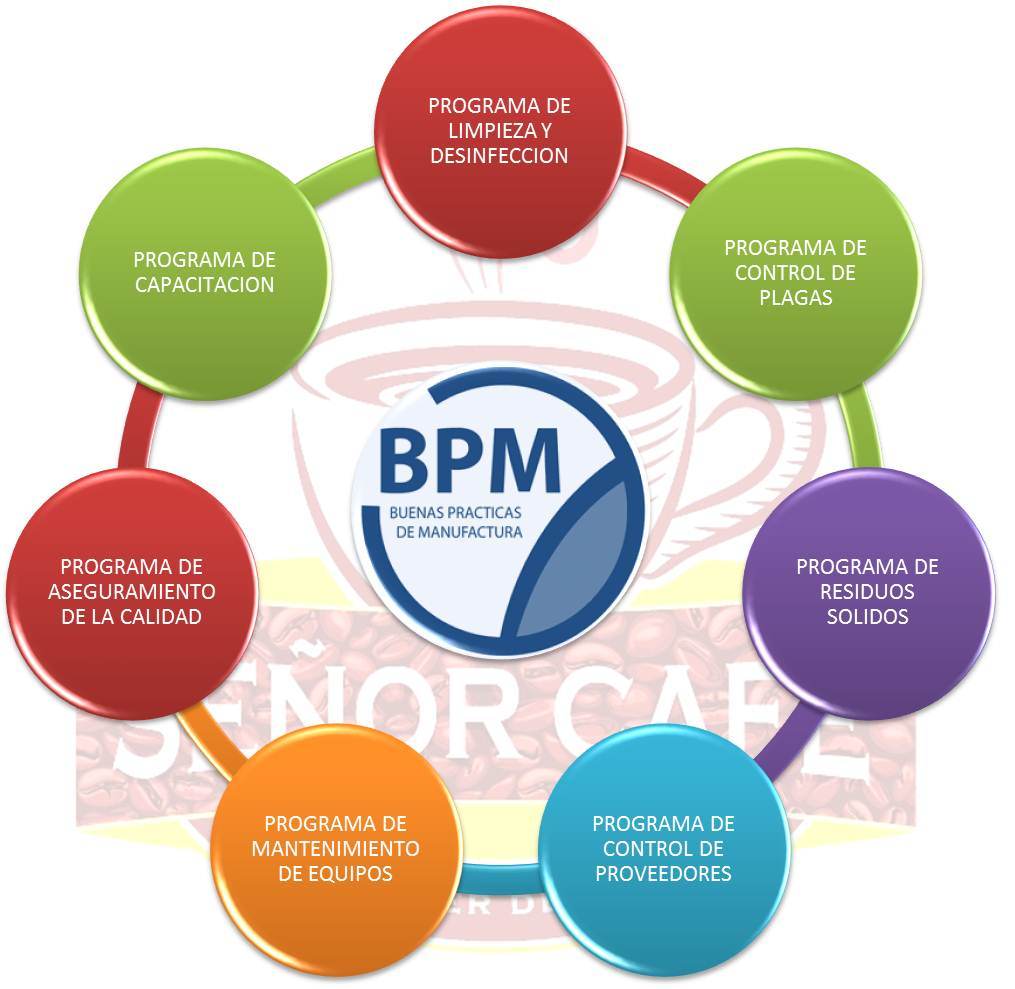 CICLO BPM